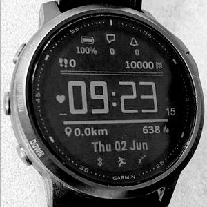 Garmin 010-02157-11 fenix 6X Sapphire Bluetooth Smartwatch - Black